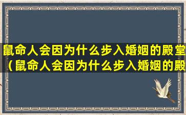 鼠命人会因为什么步入婚姻的殿堂（鼠命人会因为什么步入婚姻的殿堂呢）