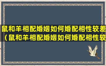 鼠和羊相配婚姻如何婚配相性较差（鼠和羊相配婚姻如何婚配相性较差呢）