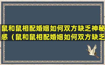 鼠和鼠相配婚姻如何双方缺乏神秘感（鼠和鼠相配婚姻如何双方缺乏神秘感情）