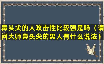 鼻头尖的人攻击性比较强是吗（请问大师鼻头尖的男人有什么说法）