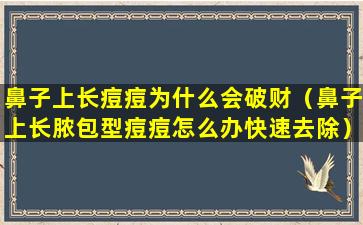 鼻子上长痘痘为什么会破财（鼻子上长脓包型痘痘怎么办快速去除）