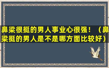 鼻梁很挺的男人事业心很强！（鼻梁挺的男人是不是哪方面比较好）