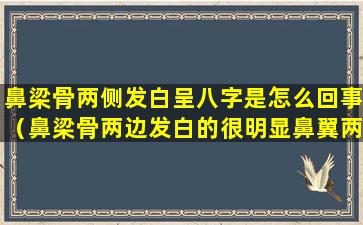 鼻梁骨两侧发白呈八字是怎么回事（鼻梁骨两边发白的很明显鼻翼两边都是结节这是怎么了）