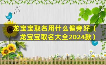 龙宝宝取名用什么偏旁好（龙宝宝取名大全2024款）