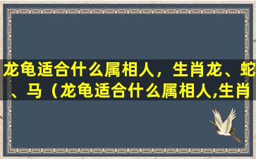 龙龟适合什么属相人，生肖龙、蛇、马（龙龟适合什么属相人,生肖龙,蛇,马,龙）