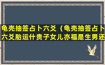 龟壳抽签占卜六爻（龟壳抽签占卜六爻胎运什贵子女儿亦福是生男还是生女）