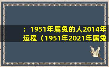 ：1951年属兔的人2014年运程（1951年2021年属兔人的全年运势）