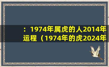 ：1974年属虎的人2014年运程（1974年的虎2024年的运程是怎么样的）